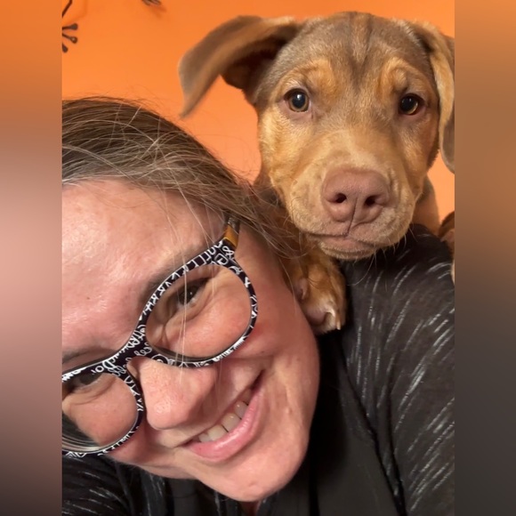 Meet your Posher, Desiree - Picture 1 of 1